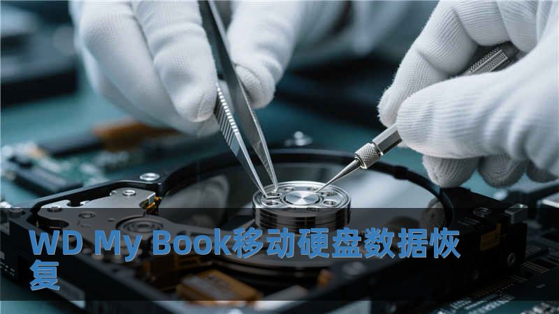 WD My Book移動硬盤數據恢復
