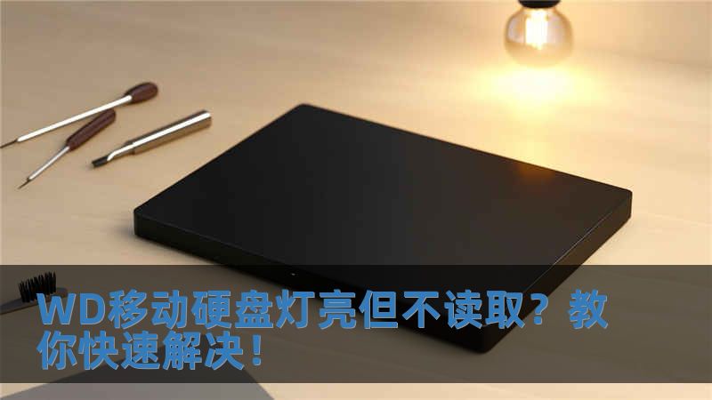 WD移動硬盤燈亮但不讀??？教你快速解決！