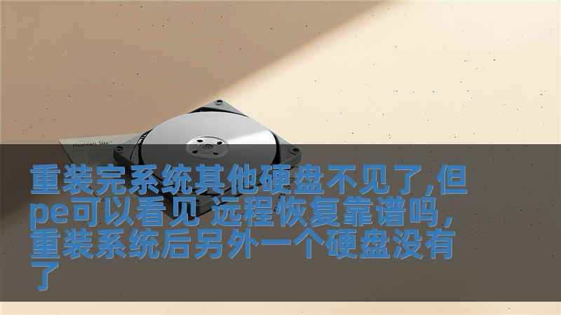 重裝完系統其他硬盤不見了,但pe可以看見 遠程恢復靠譜嗎，重裝系統后另外一個硬盤沒有了