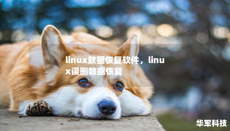 linux數(shù)據(jù)恢復(fù)軟件，linux誤刪數(shù)據(jù)恢復(fù)