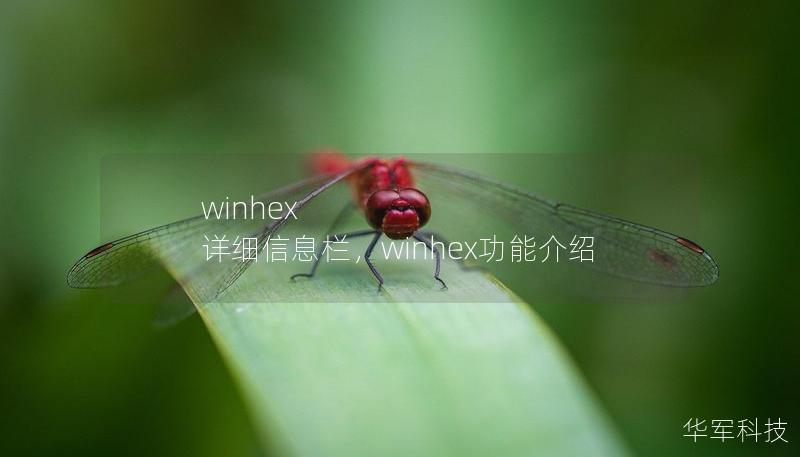 winhex 詳細(xì)信息欄，winhex功能介紹