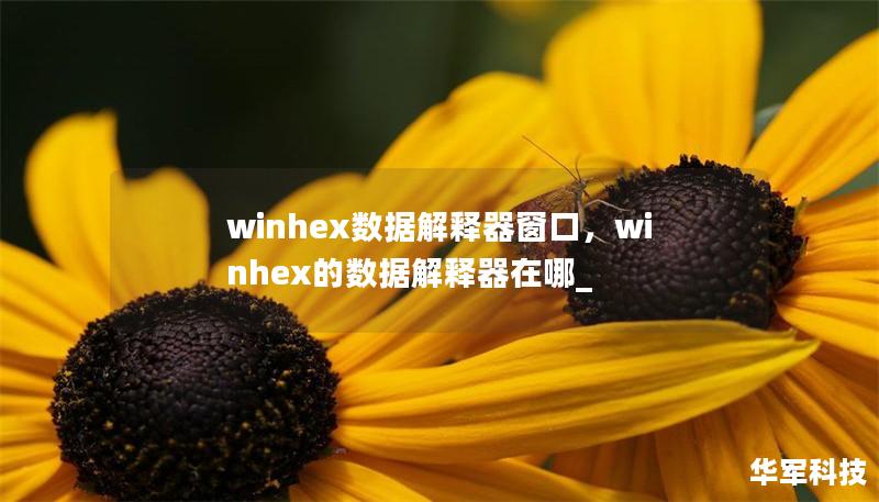 winhex數(shù)據(jù)解釋器窗口，winhex的數(shù)據(jù)解釋器在哪_