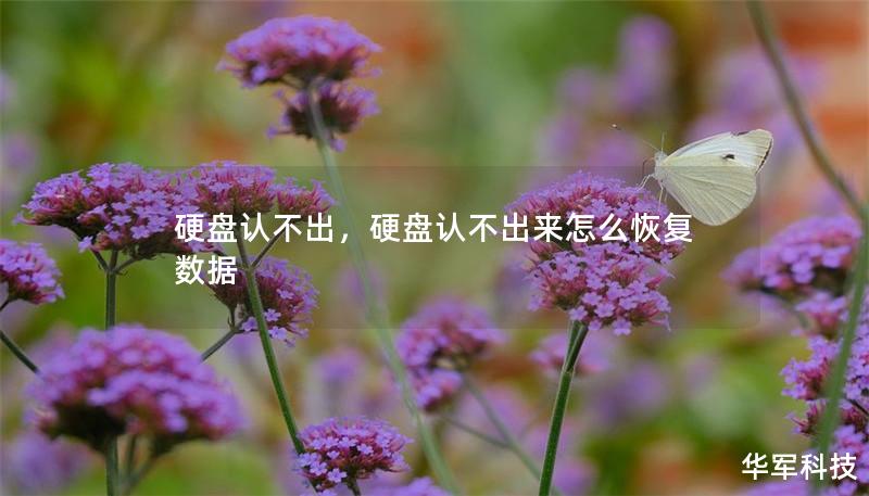 硬盤認不出，硬盤認不出來怎么恢復數(shù)據(jù)