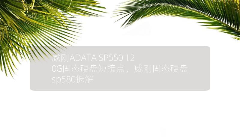 威剛ADATA SP550 120G固態(tài)硬盤短接點(diǎn)，威剛固態(tài)硬盤sp580拆解