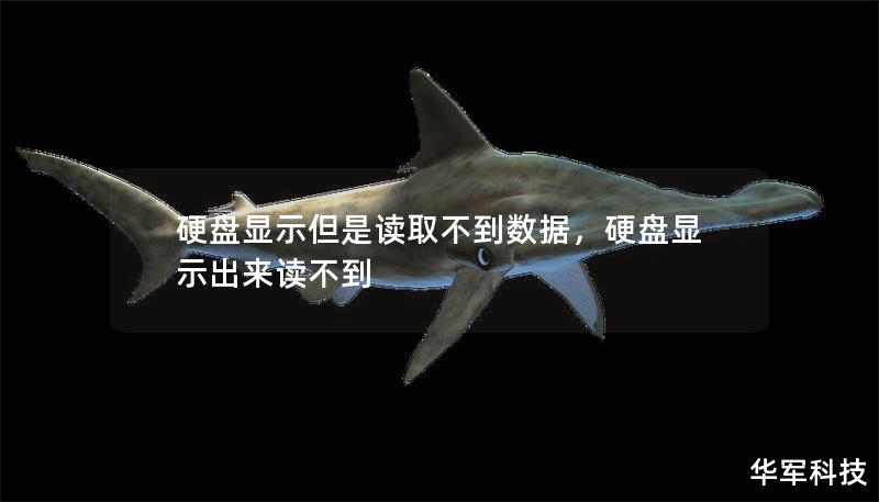 硬盤顯示但是讀取不到數(shù)據(jù)，硬盤顯示出來讀不到