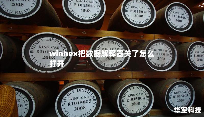 winhex把數(shù)據(jù)解釋器關(guān)了怎么打開