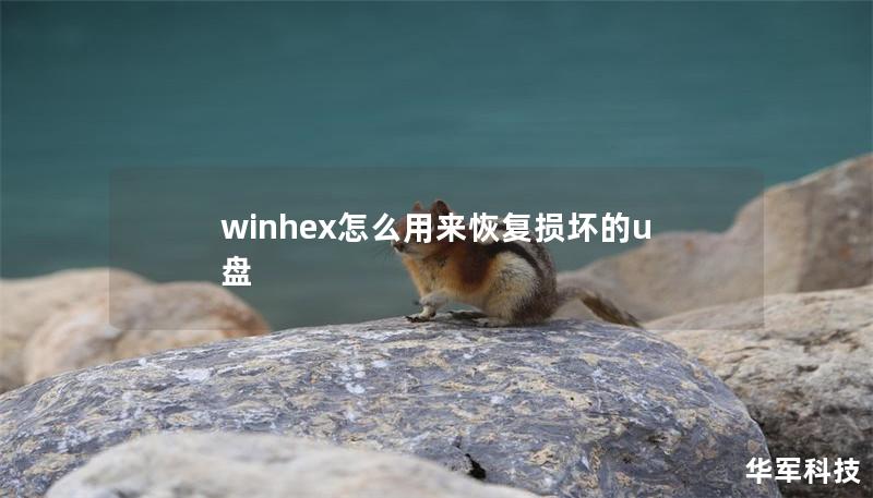 winhex怎么用來恢復(fù)損壞的u盤