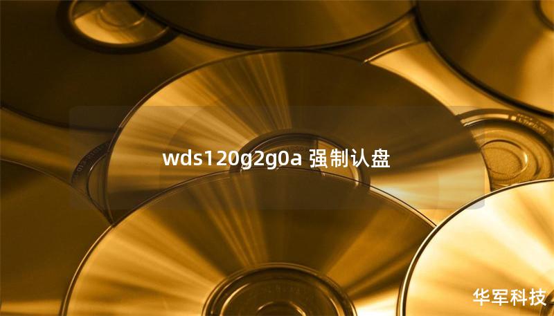 wds120g2g0a 強制認(rèn)盤