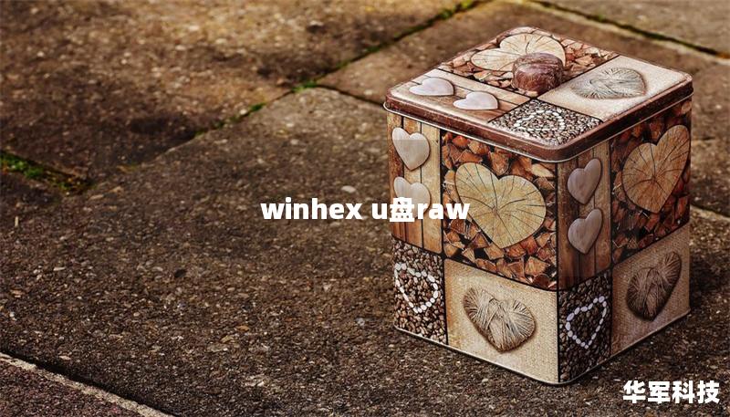 winhex u盤(pán)raw