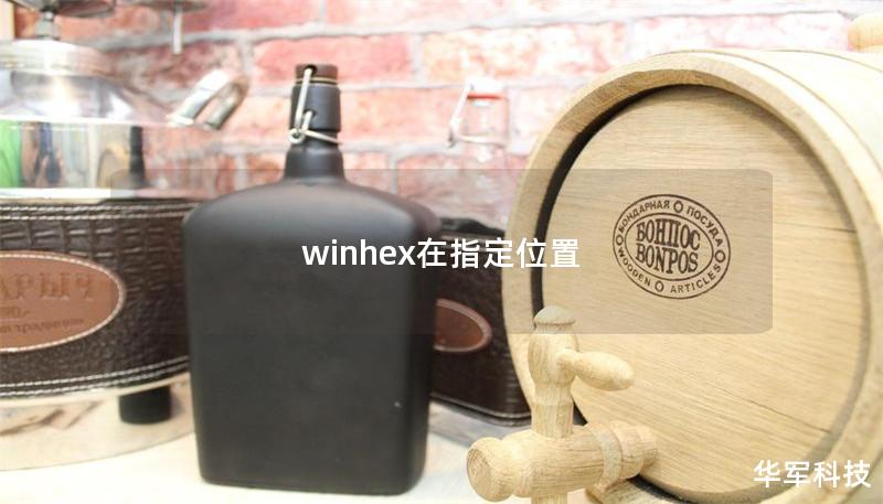 winhex在指定位置