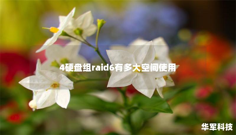 4硬盤組raid6有多大空間使用