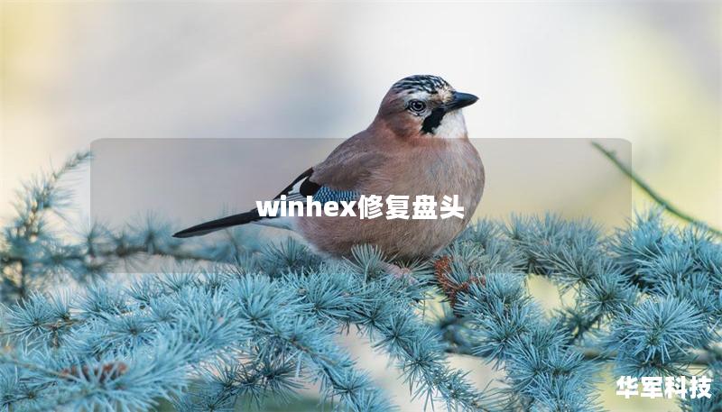 winhex修復盤頭