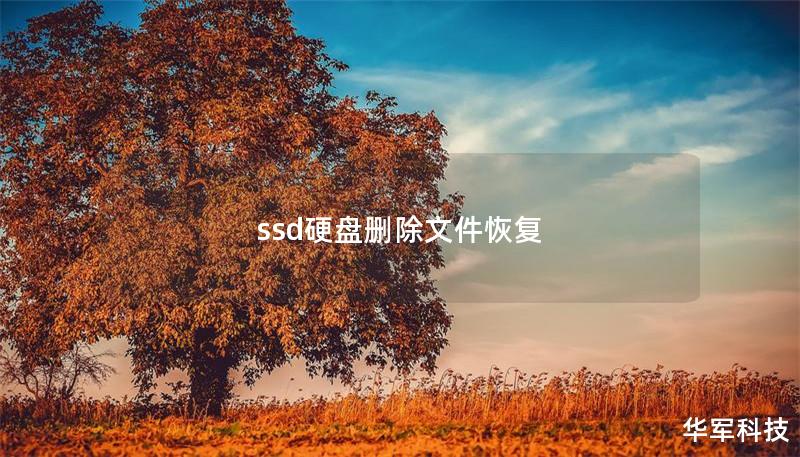 ssd硬盤刪除文件恢復(fù)