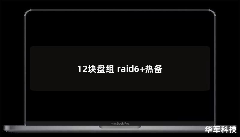 12塊盤組 raid6+熱備