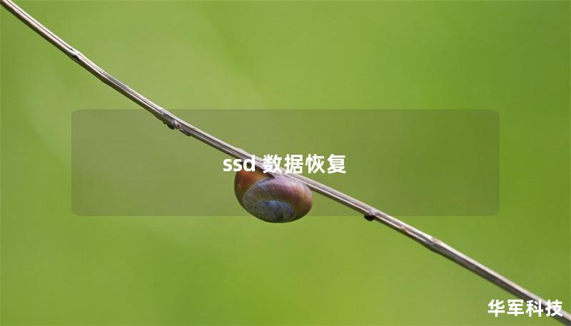 ssd 數(shù)據(jù)恢復