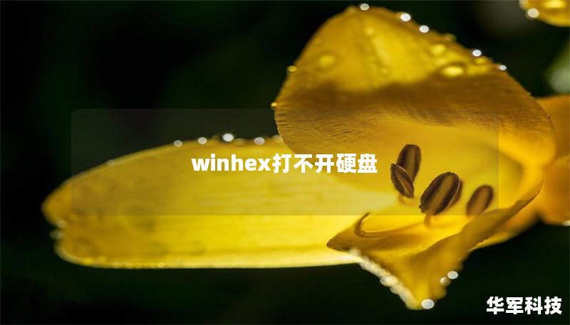 winhex打不開硬盤