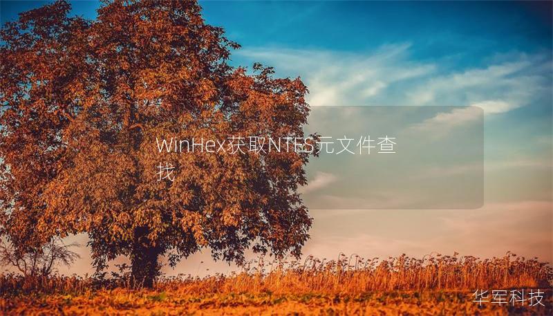 WinHex獲取NTFS元文件查找