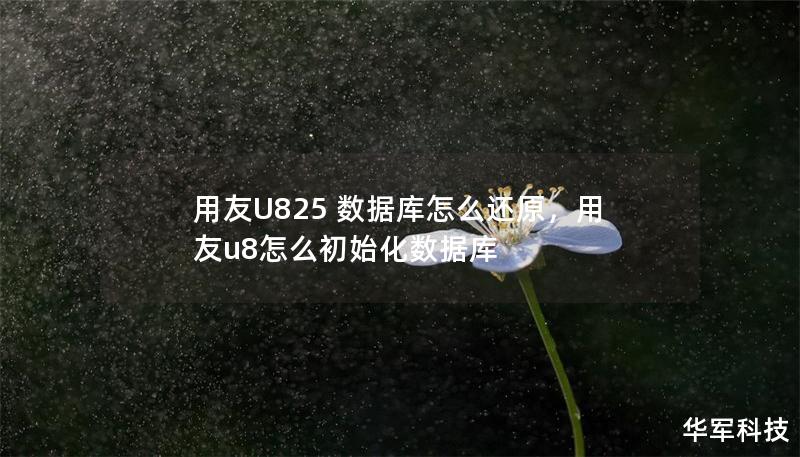 用友U825 數(shù)據(jù)庫怎么還原，用友u8怎么初始化數(shù)據(jù)庫