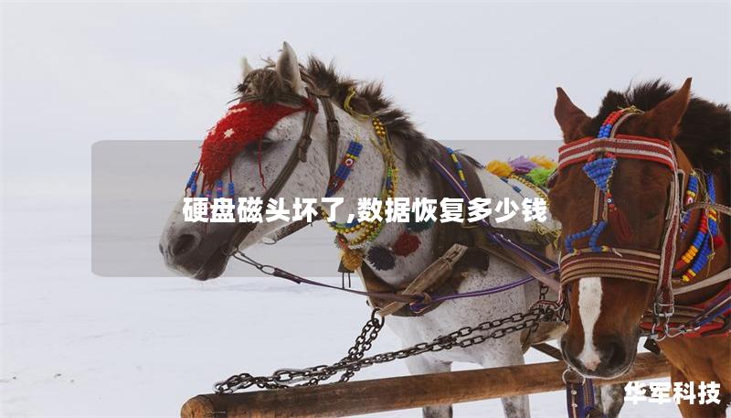 硬盤磁頭壞了,數(shù)據(jù)恢復(fù)多少錢