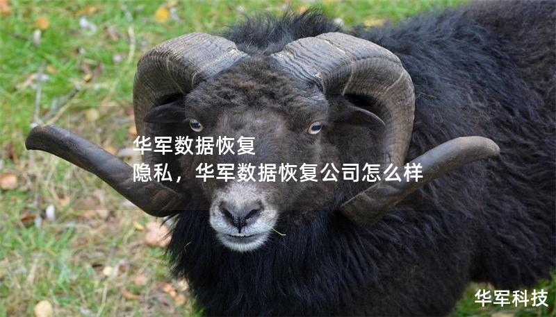 華軍數(shù)據(jù)恢復 隱私，華軍數(shù)據(jù)恢復公司怎么樣